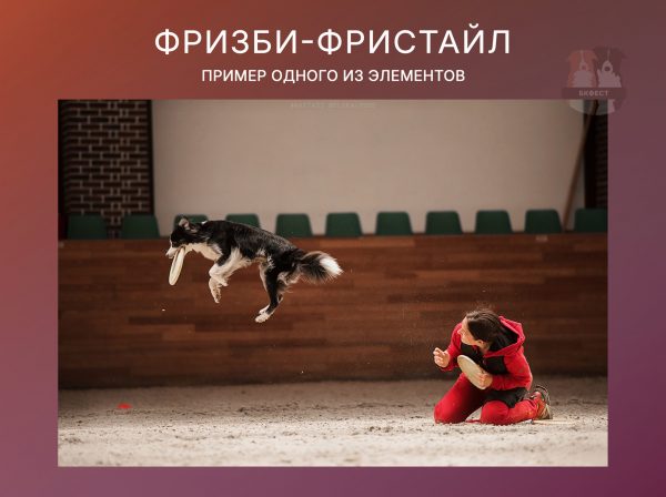 2 ФФ