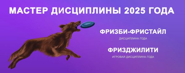 Дисциплина года 2025 ДГГ