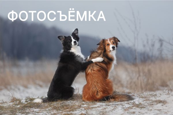 ФОТОСЪЁМКА