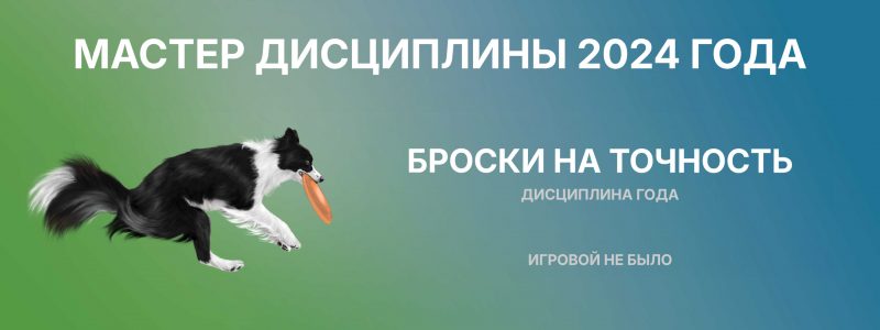 мастер 2024