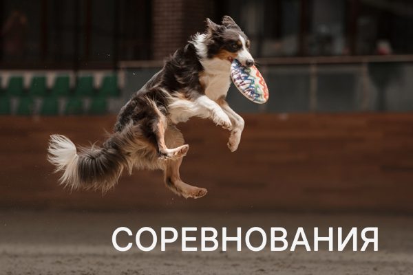 соревнования